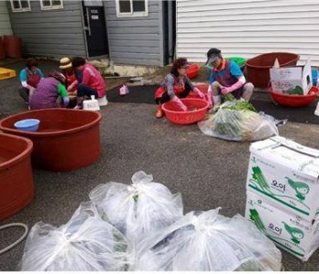 안면읍자원봉사단 김치나눔봉사 이미지