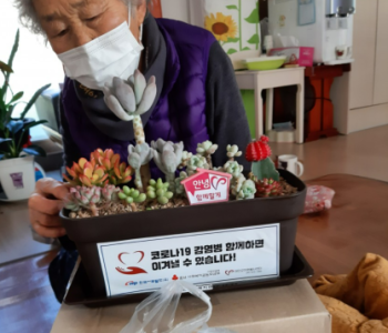 [코로나19 위기극복 다육이 나눔] 이미지
