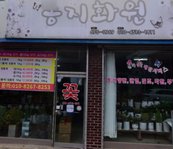 송지화원 이미지