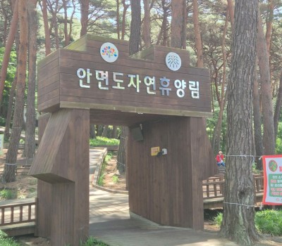 안면도 자연휴양림 이미지
